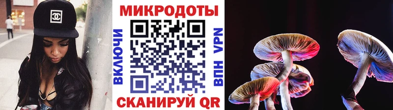 Псилоцибиновые грибы MAGIC MUSHROOMS  блэк спрут сайт  Юрьев-Польский  закладка 